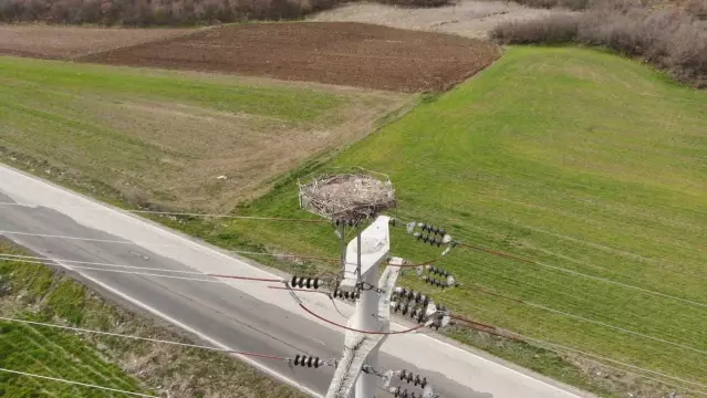 Trakya'da leylek yuvalarının bakımı termal kameralı dron la yapılıyor