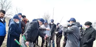 Ankara'da üreticilere 'Vişne Üretim Teknikleri Eğitimi'