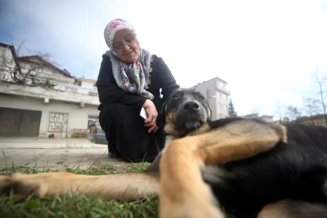 Köpeğe kötü muameleyi engelleyen kadın konuştu