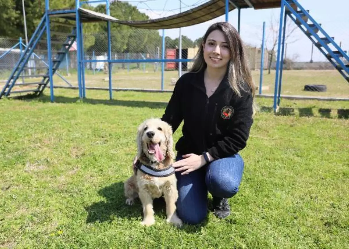 EVDE SÜS KÖPEĞİYKEN EMNİYETTE \'HASSAS BURUN\' OLDU - YENİDEN