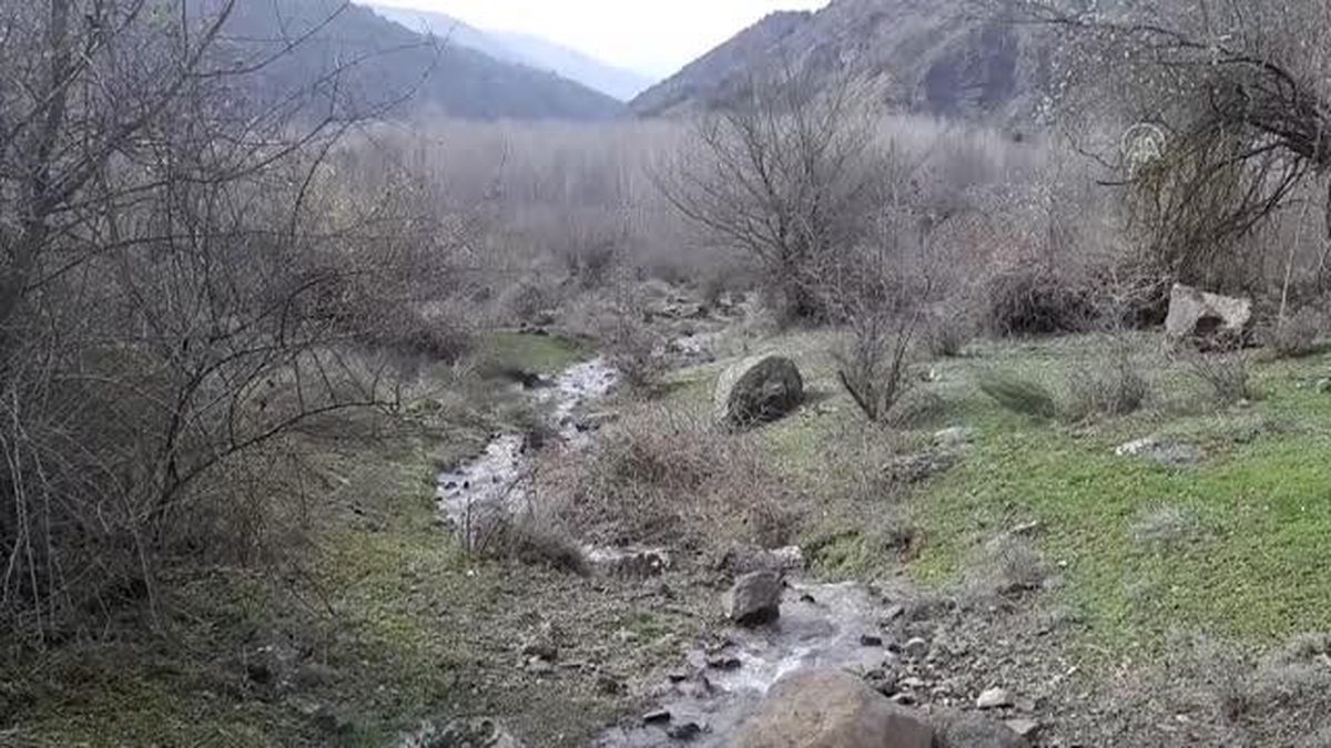 Havaların ısınmasıyla çiçekler açtı