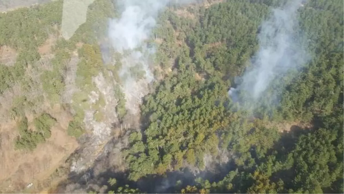 Son dakika haberi! İzmir\'in Ödemiş ilçesindeki orman yangını kontrol altına alındı