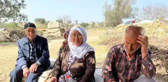Kurtlar 25 koyunu telef etti, 3 ailenin geçim kaynağı yok oldu