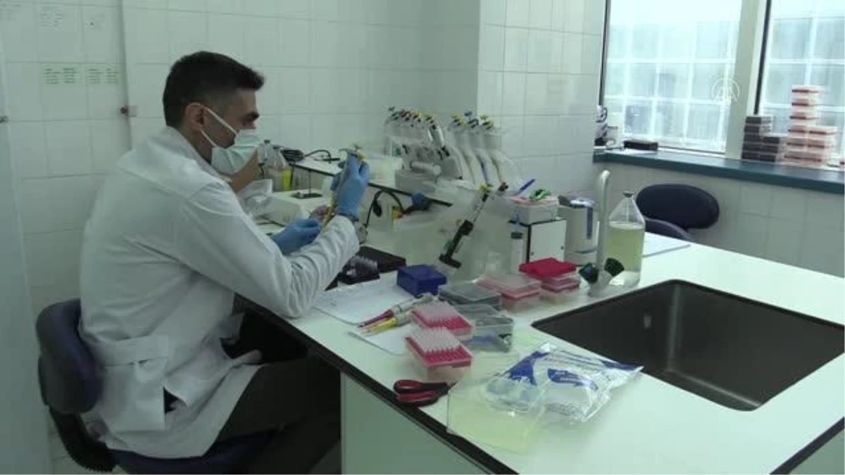 Malatya\'daki laboratuvar kemik iliği naklinde 100 kanser hastasına umut oldu