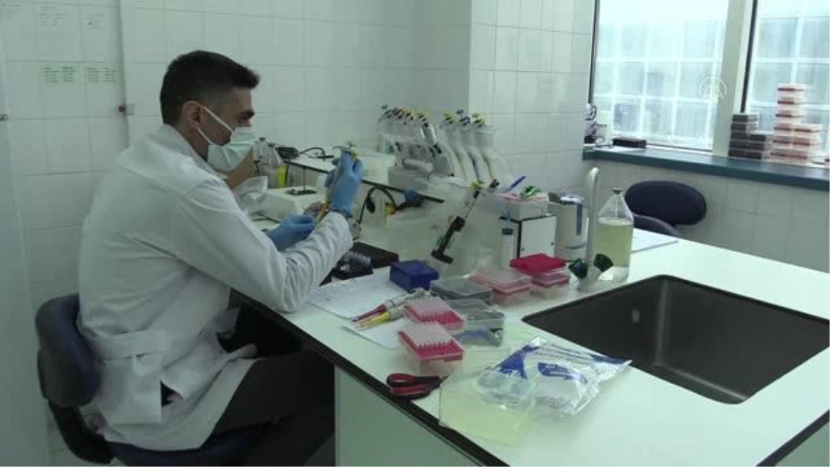 Malatya'daki laboratuvar kemik iliği naklinde 100 kanser hastasına umut oldu