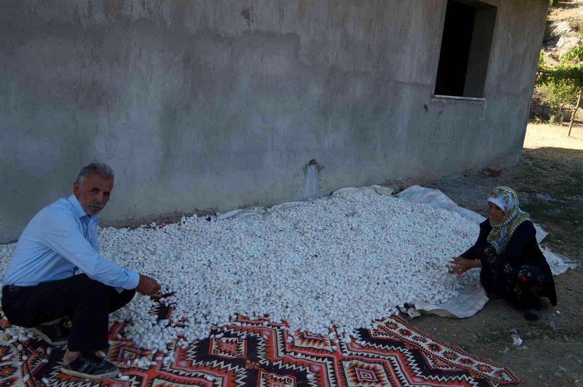Sason\'da ipek böceği geliştirme toplantısı