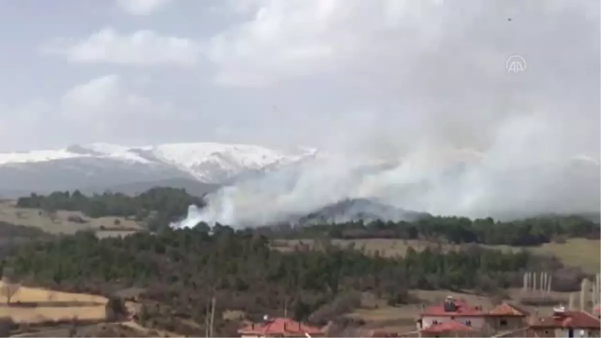 Orman yangınına müdahale ediliyor (2)