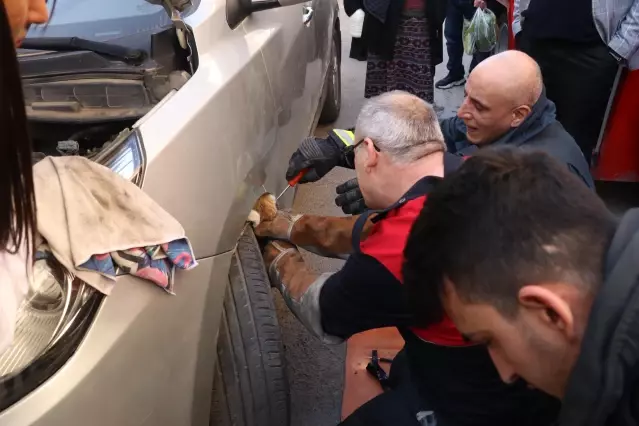 Otomobilin motor kısmına sıkışan kediyi itfaiye kurtardı