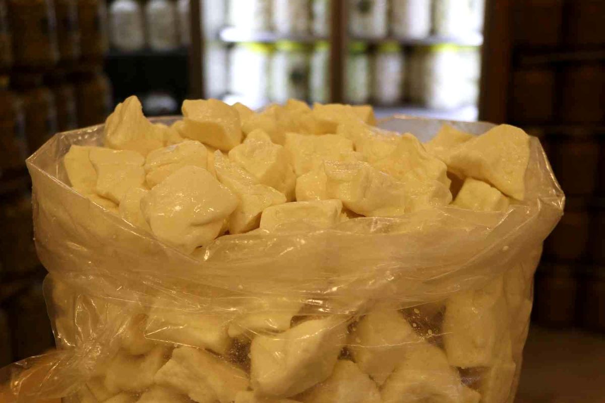 Avrupa'nın peyniri Gaziantep'ten