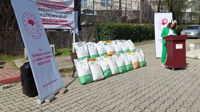 Ayçiçeği ithalatına karşı yerli tohum atağı... Devletten üreticiye 2 buçuk ton hibrit tohum