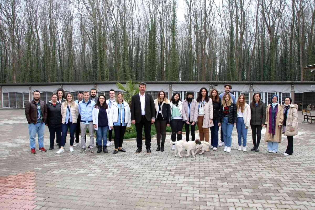 Başkan Soykan: "Sokak hayvanlarımıza sahip çıkıyoruz"