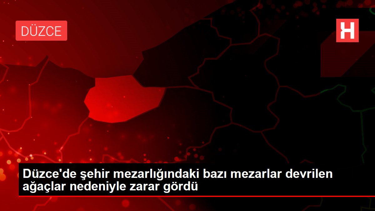 Düzce'de şehir mezarlığındaki bazı mezarlar devrilen ağaçlar nedeniyle zarar gördü