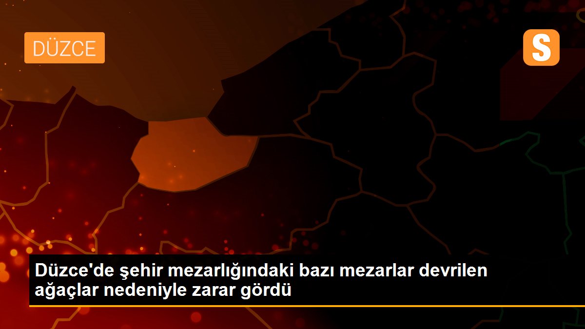 Düzce\'de şehir mezarlığındaki bazı mezarlar devrilen ağaçlar nedeniyle zarar gördü