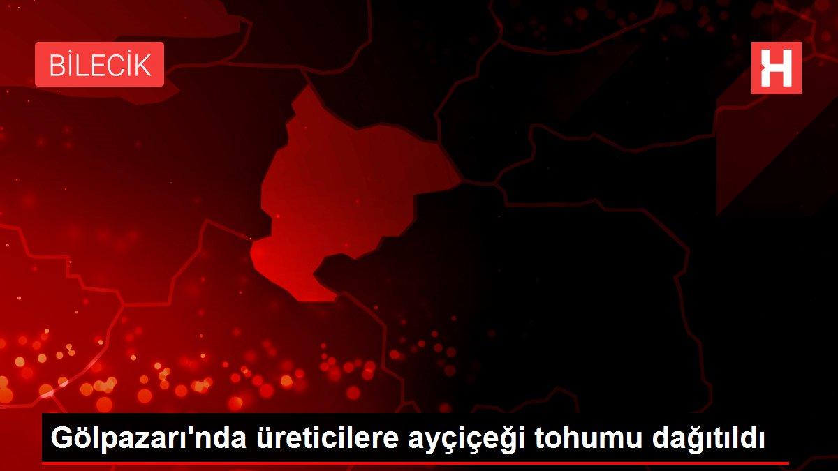 Gölpazarı'nda üreticilere ayçiçeği tohumu dağıtıldı