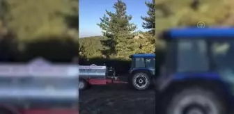 Göynük'te ormanlık alanda çıkan yangın söndürüldü