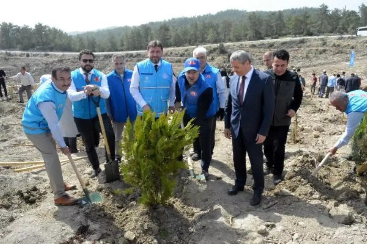 Gurbetçilerden Manavgat\'a 250 bin fidan bağışı