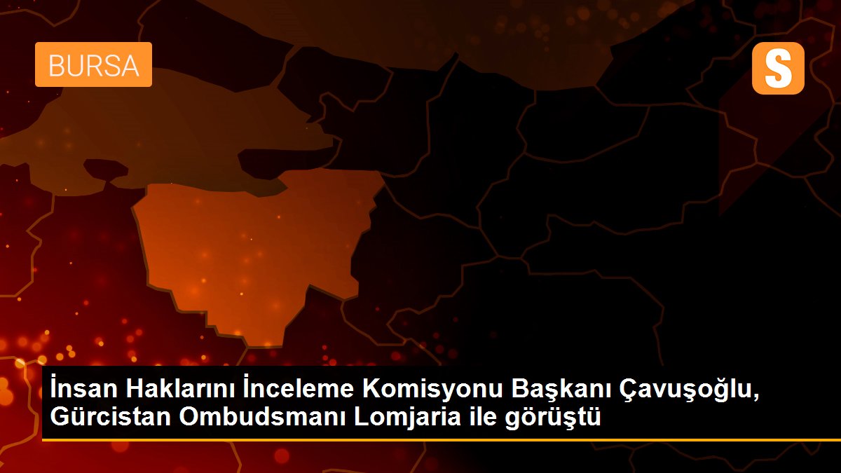 İnsan Haklarını İnceleme Komisyonu Başkanı Çavuşoğlu, Gürcistan Ombudsmanı Lomjaria ile görüştü