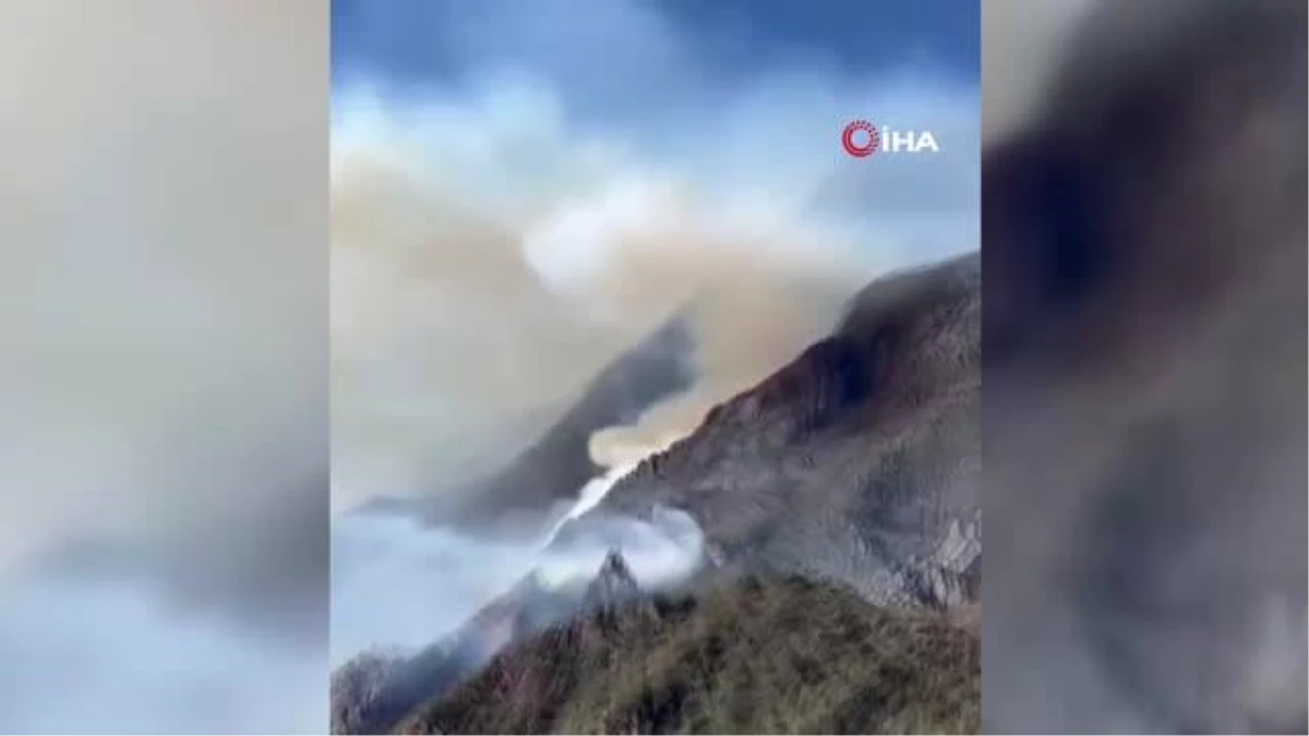 Meksika\'da 71 orman yangınıyla zorlu mücadele devam ediyor