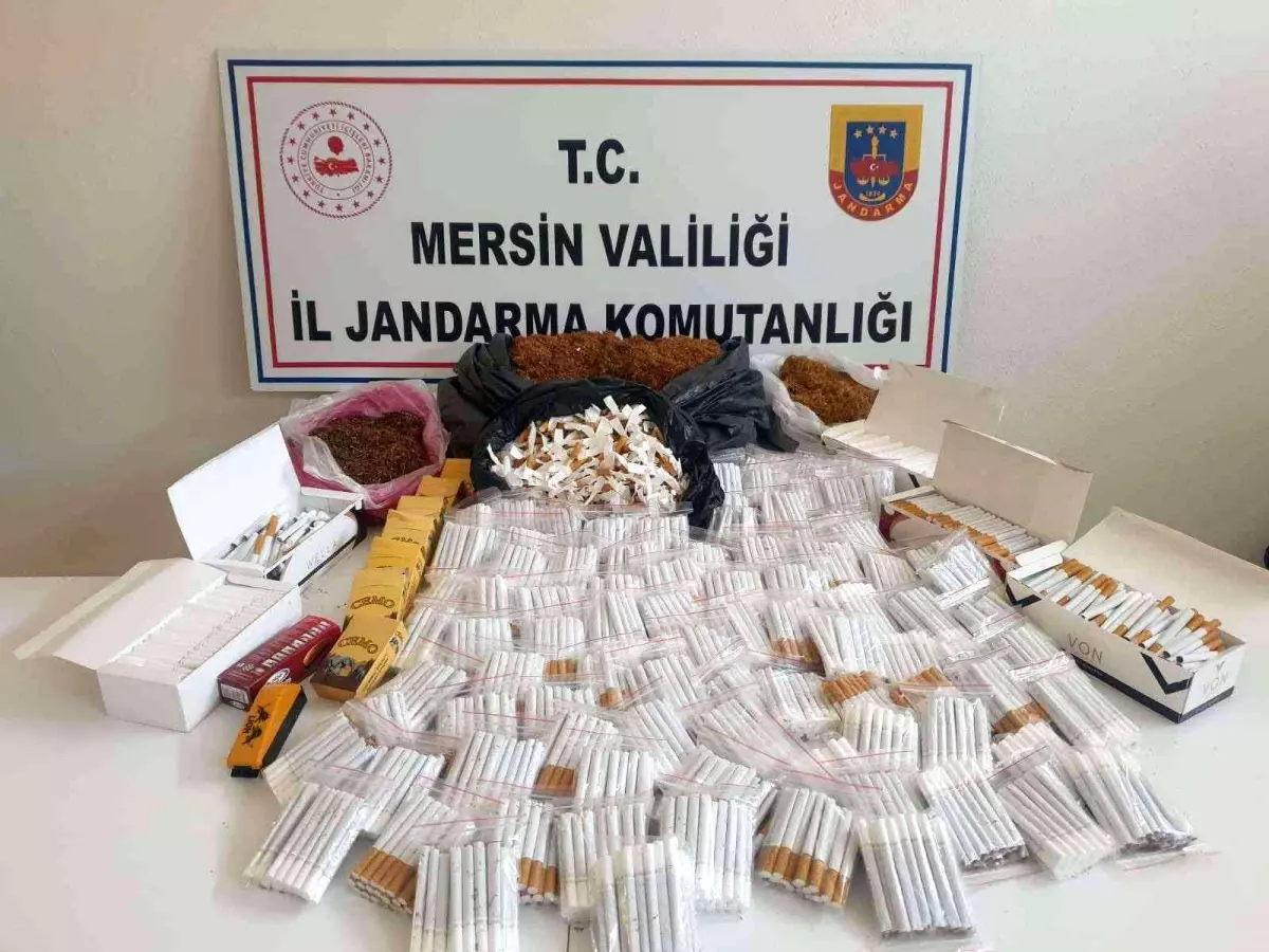 Mersin\'de 2 bin 800 paket gümrük kaçağı sigara ele geçirildi