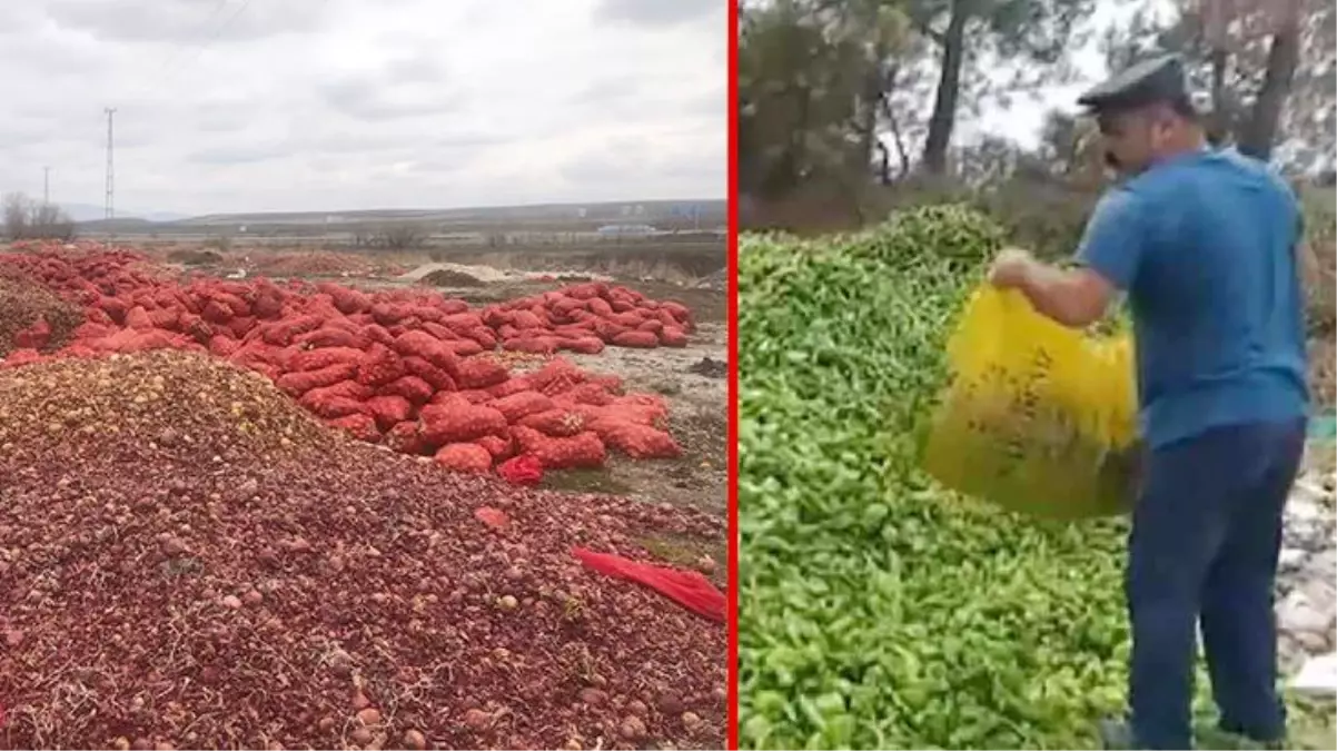 Çöpe dökülen sebze videolarına dair açıklama bakanlıktan geldi: Çoğu eski tarihli!