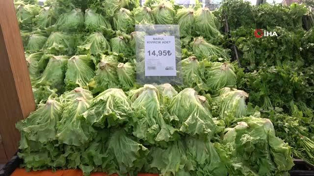 Marul serada 8 lira, markette 15 lira