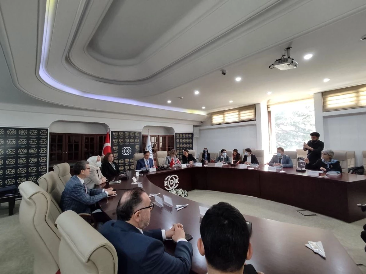 Türkiye ile Gürcistan ombudsmanlık kurumları işbirliği yaptı