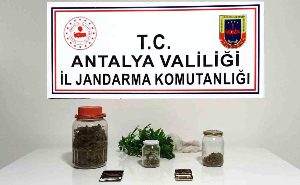 Yasadışı kenevir üretimine jandarma baskını: 1 gözaltı