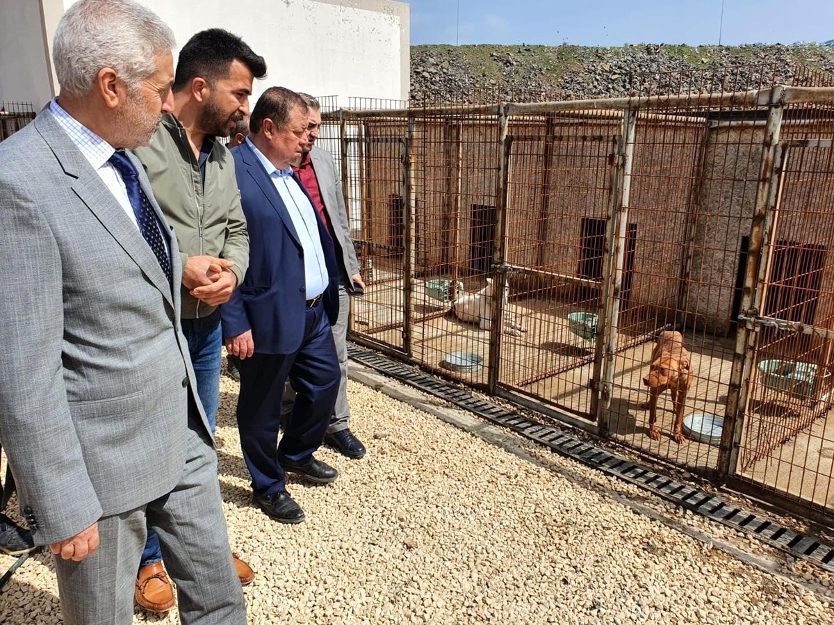 Başkan Ramazan, hayvan barınağında incelemelerde bulundu