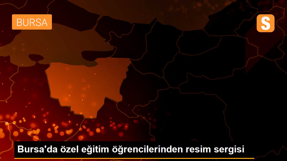 Bursa\'da özel eğitim öğrencilerinden resim sergisi