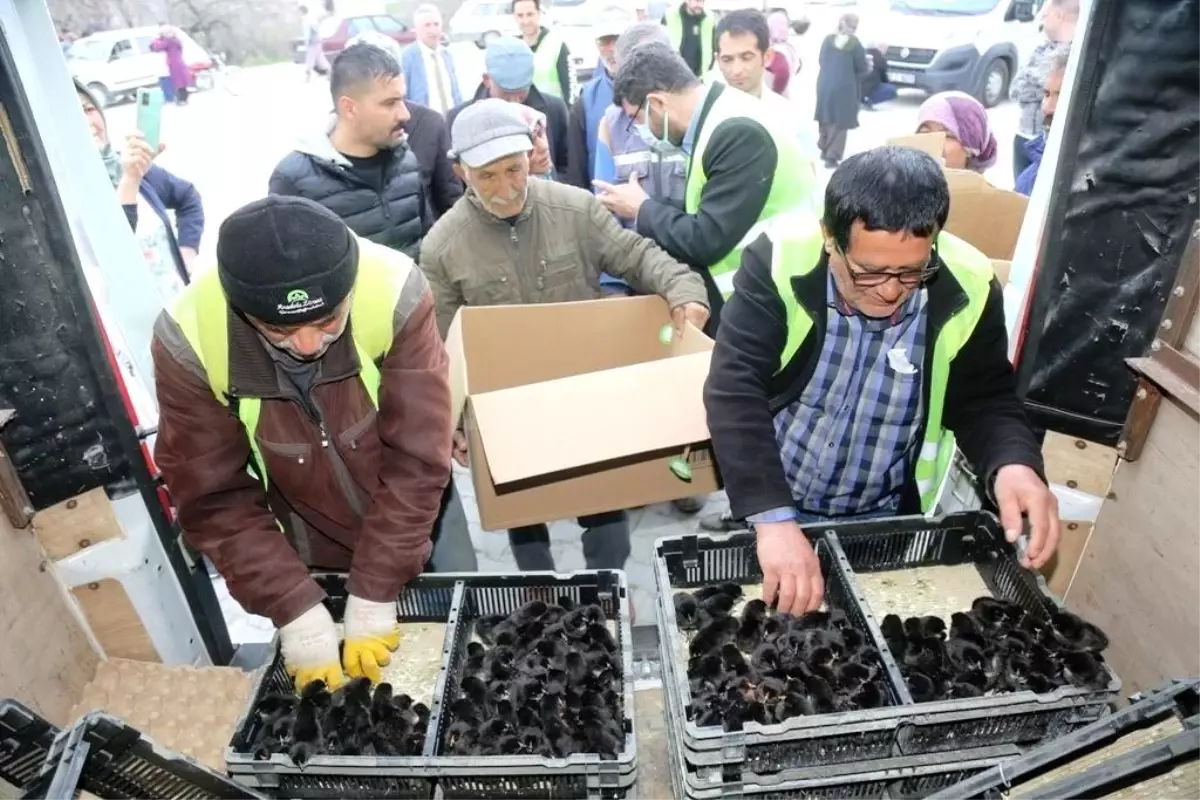 Ereğli Belediyesinden üretime destek