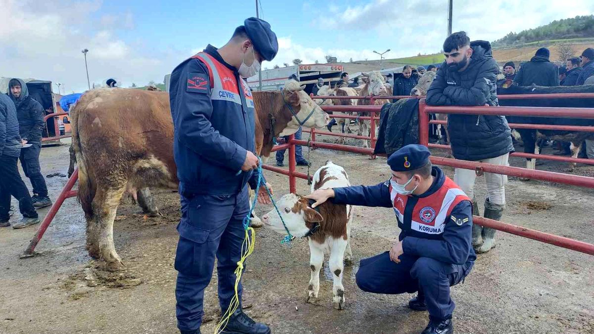 Hayvan pazarında HAYDİ ekiplerinden denetim
