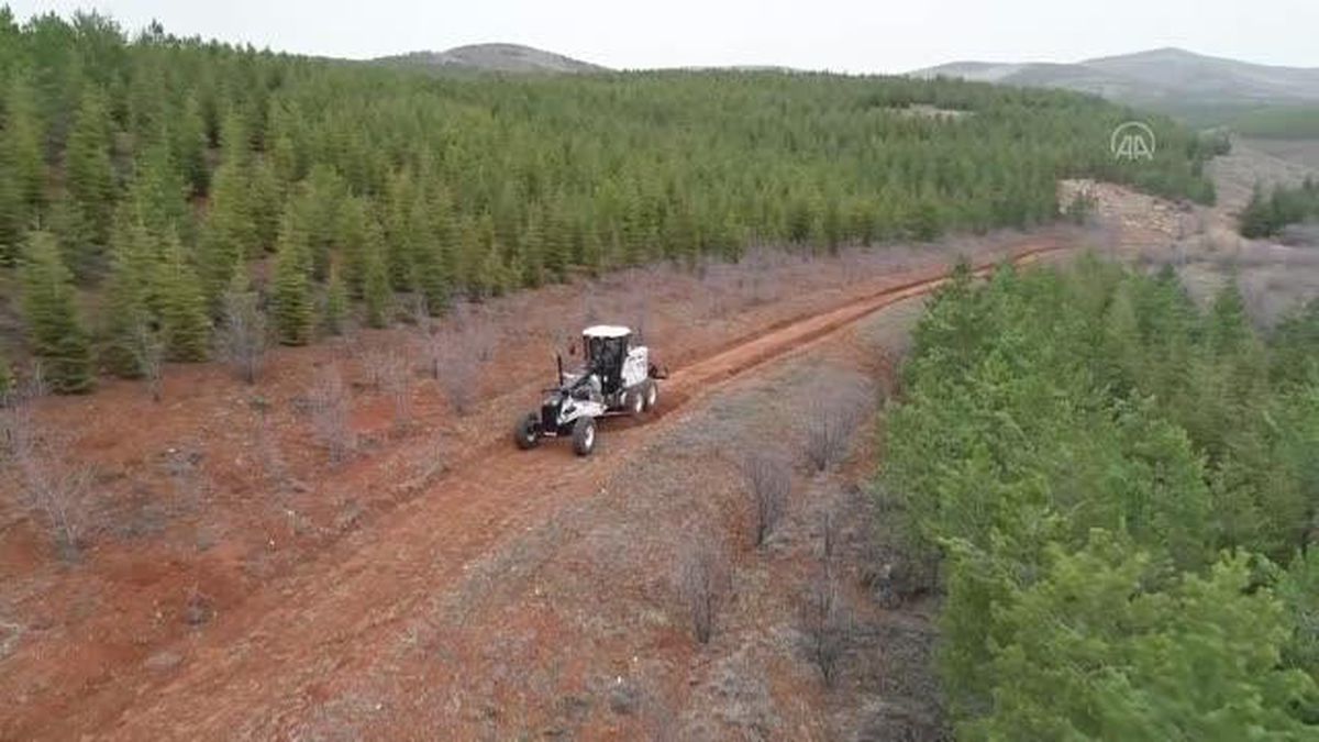 Kırşehir'de bu yıl 600 bin fidan toprakla buluşturulacak