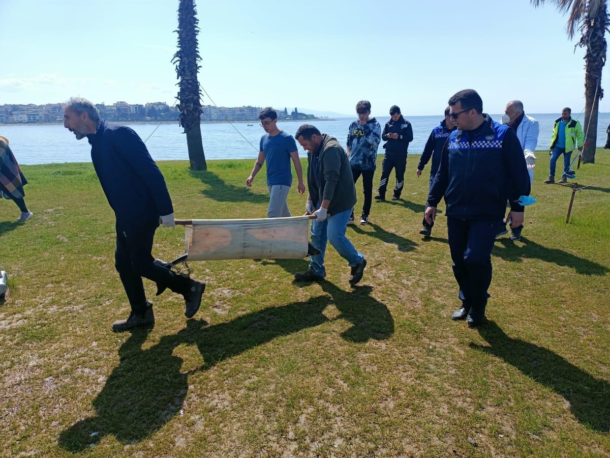 Son dakika haberi... Kocaeli\'de ölü yunus yavrusu kıyıya vurdu
