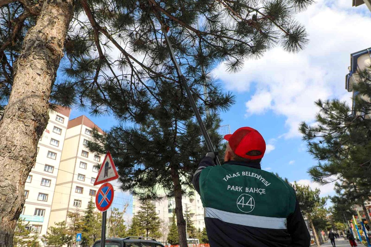 Talas Belediyesi bahar çalışması başlattı