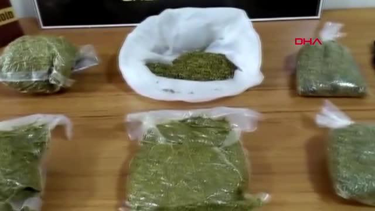 Uyuşturucu satıcılarına \'İlkbahar\' operasyonu; aynı aileden 9 gözaltı