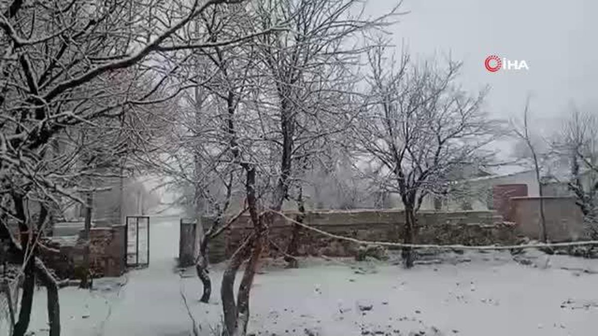 Baharı bekleyen Özalp'ta nisan karı