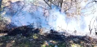 Son dakika haberi: Çanakkale'de çöplük yangını ormana sıçramadan söndürüldü