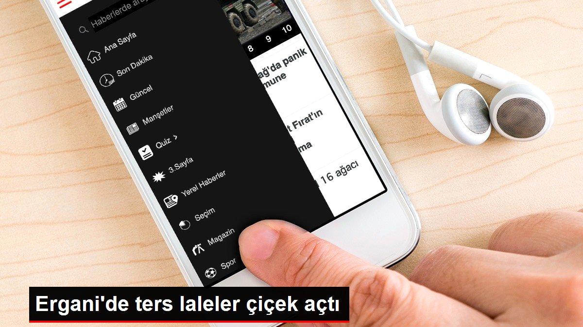 Ergani'de ters laleler çiçek açtı