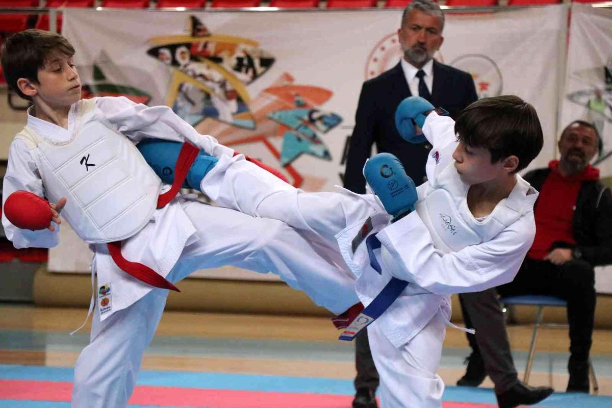 Erzincan'da karate grup müsabakaları başladı