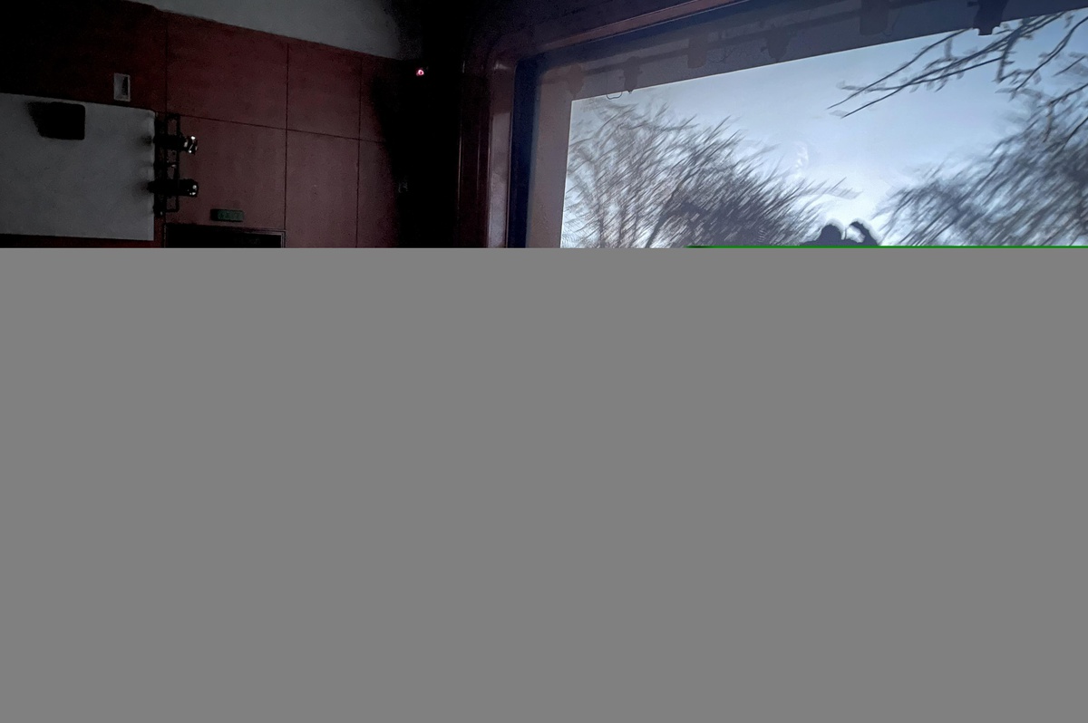 Ukrayna\'ya destek amacıyla film gösterimi yapıldı