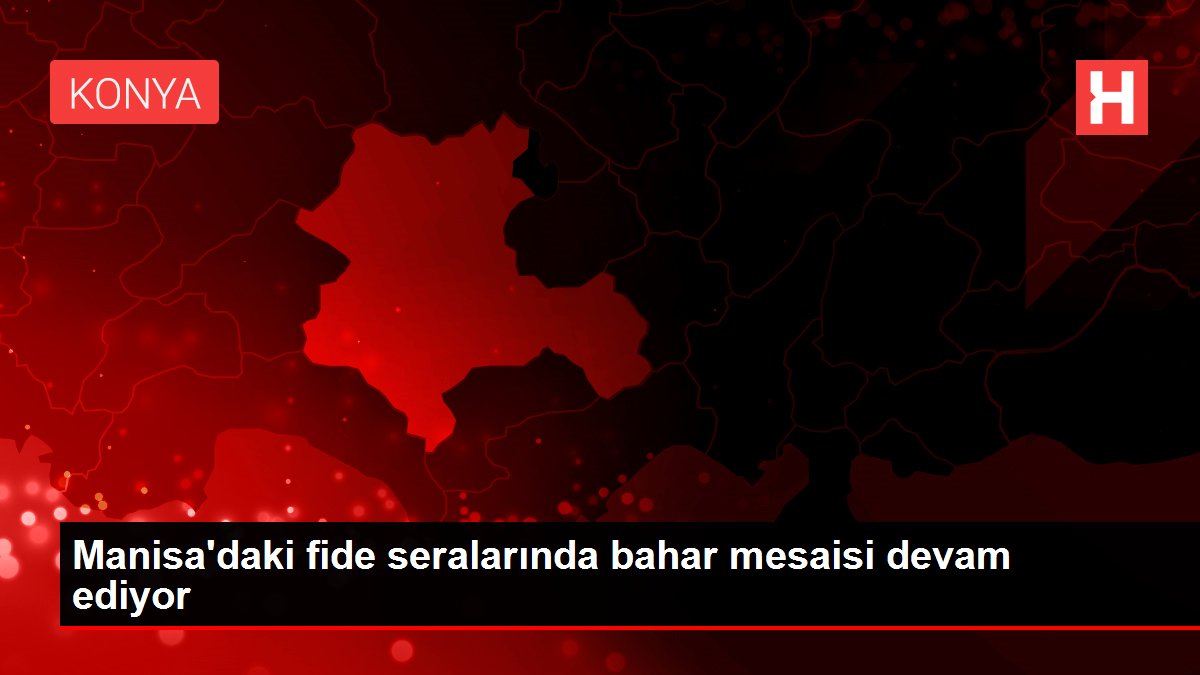 Manisa'daki fide seralarında bahar mesaisi devam ediyor