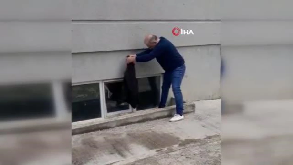 Pencereye sıkışan kediyi vatandaş kurtardı