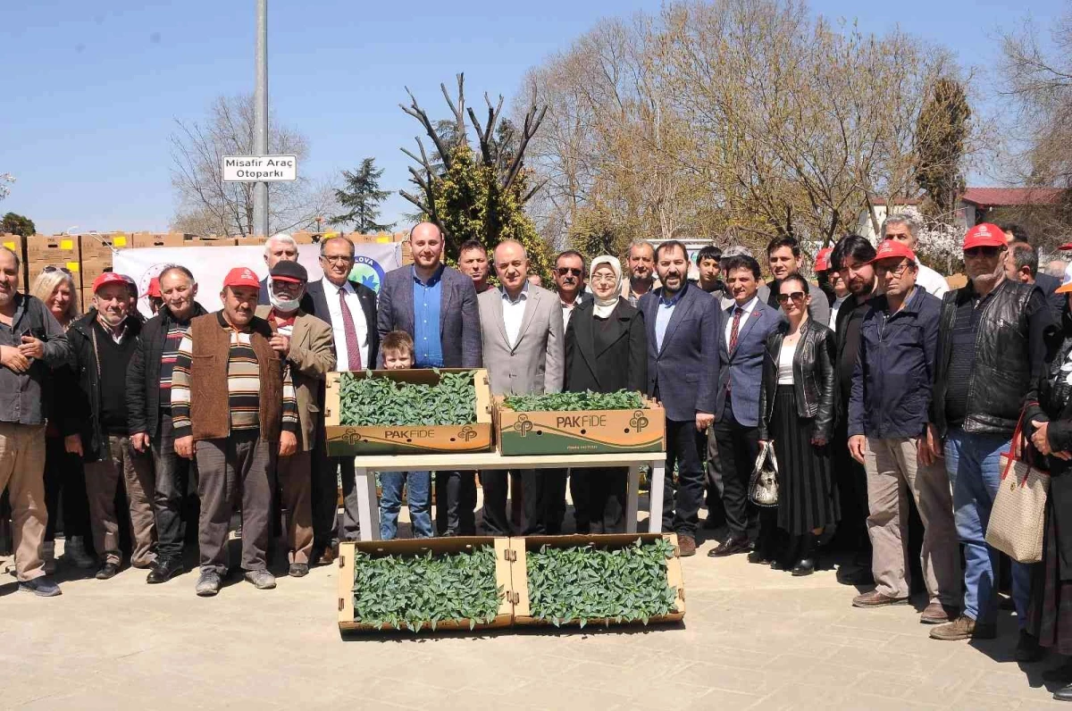 Son dakika haberi: Yalova\'nın atıl arazileri projelerle tarıma kazandırılıyor