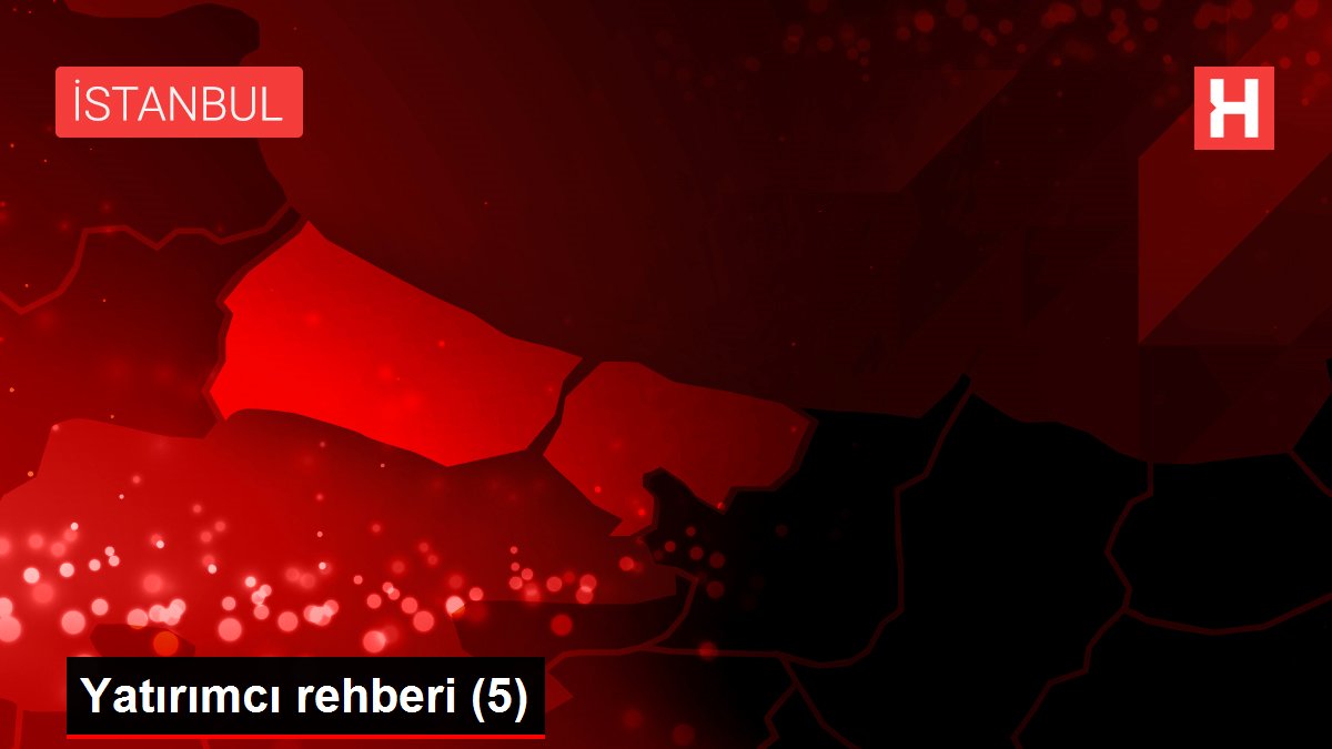 Yatırımcı rehberi (5)