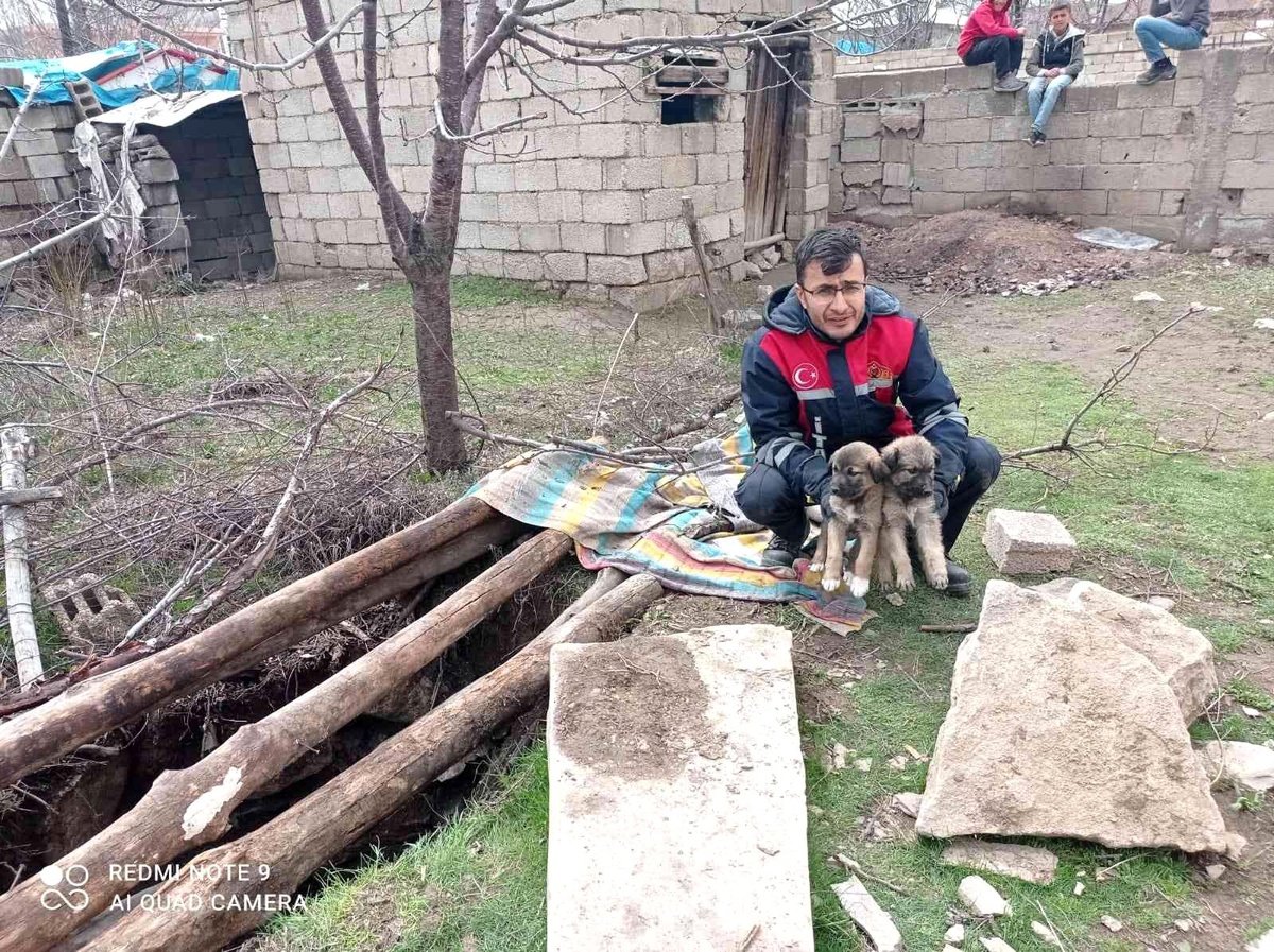 Son dakika haberi... 13 metre derinlikteki çukura düşen yavru köpekler itfaiye tarafından kurtarıldı
