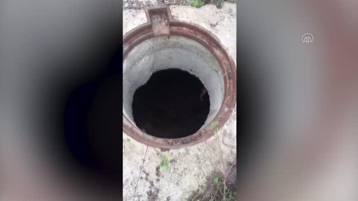 Rögara düşen manda yavrusunu itfaiye kurtardı