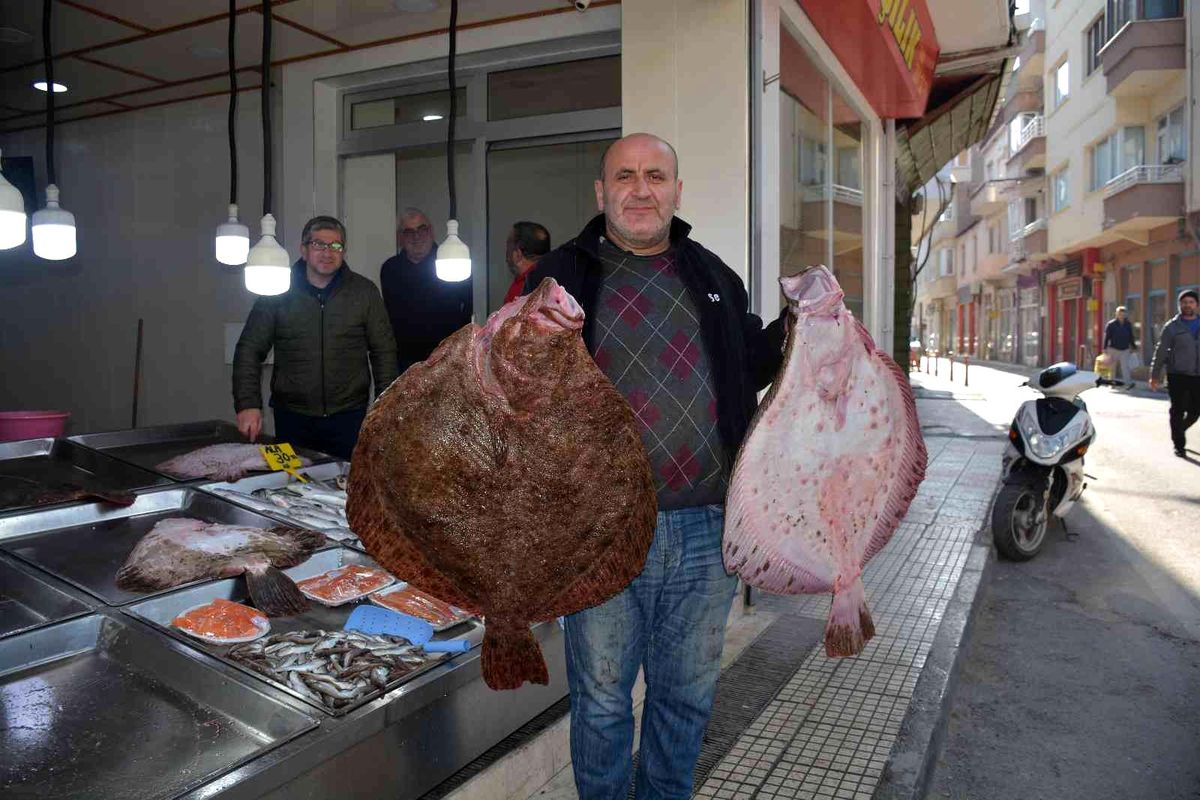 Sinop\'ta balıkçıların ağlarına dev kalkan balıkları takıldı