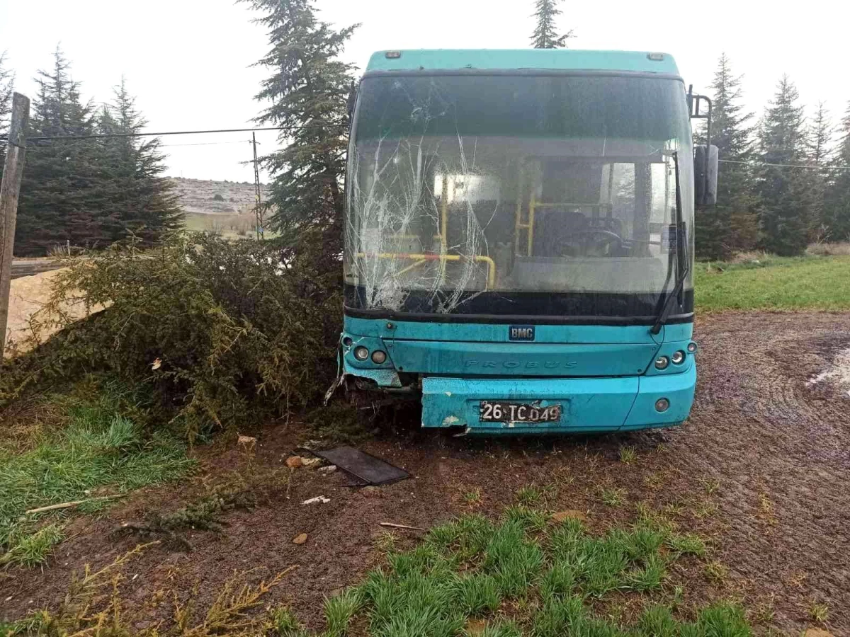 Yağmurda kontrolden çıkan halk otobüsü ağaçlara çarptı: 3\'ü çocuk 4 yaralı