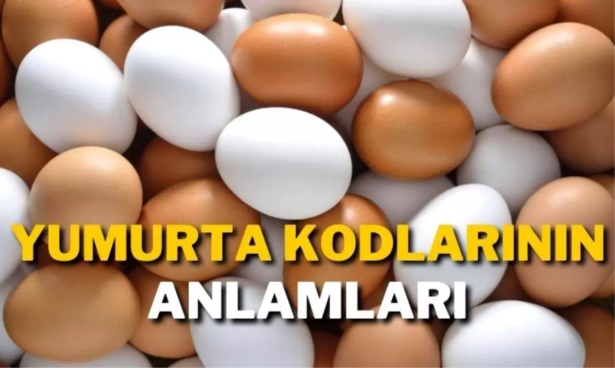 Yumurtaların Üzerindeki Kodların Ne Anlama Geldiğini Hiç Merak Ettiniz Mi?