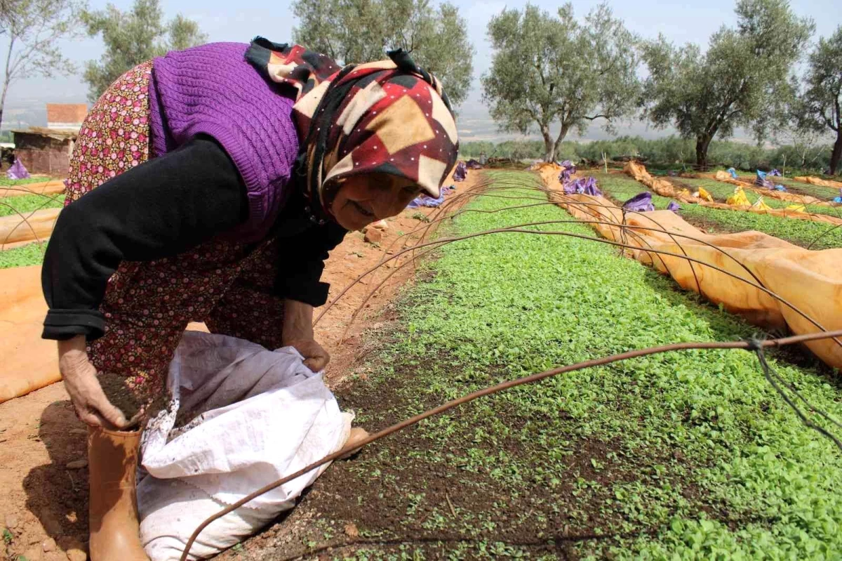 80 yaşındaki Raziye Nine gençlere taş çıkarıyor